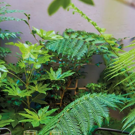 Hotel La Cour Carree Centre