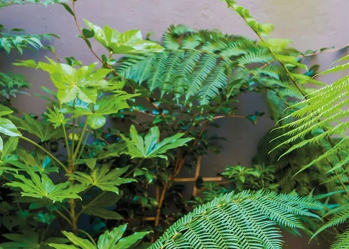 Отель Hotel La Cour Carree Bordeaux Centre